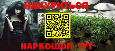 a pvp Гатчина